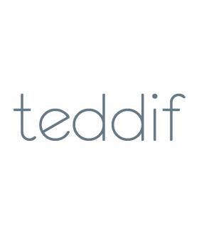 logo_teddif